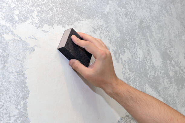 Best Mold-Related Health Consultation  in Kearney Park, MS