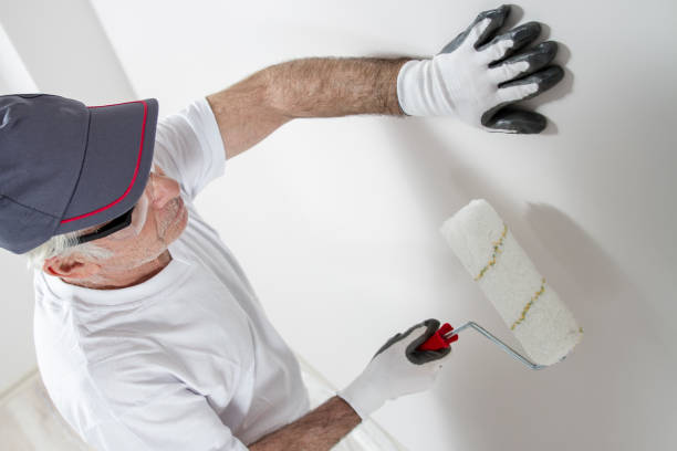 Best Emergency Mold Remediation  in Kearney Park, MS