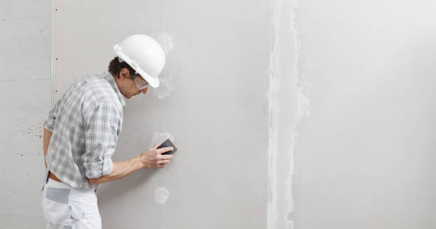Best Environmental Consulting for Mold Prevention  in Kearney Park, MS