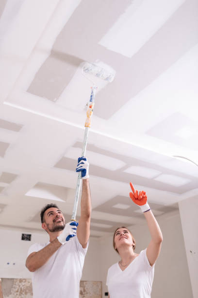 Best Black Mold Removal  in Kearney Park, MS