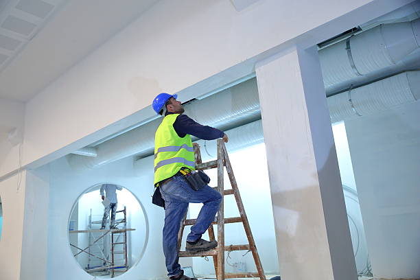Best Mold Damage Restoration  in Kearney Park, MS